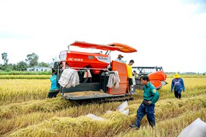 รถเกี่ยวข้าว DC 108X รุ่นมาตรฐานในประเทศไทย ยอดขายดีที่สุด ประสิทธิภาพสูง ทนทาน เครื่องจักรกลการเกษตร - Product Image 2