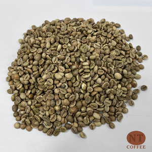 Meilleur Prix Nouvelle Récolte Grains de Café Robusta Vert du Vietnam Qualité Export Vente en Gros Approvisionnement Direct Ferme Service OEM/ODM - Product Image 1