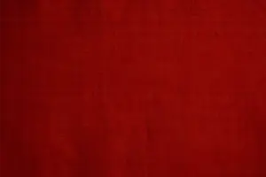 Tela de Algodón Popelín Teñida, Peinada, de Peso Medio, Ecológica y Orgánica, Hecha a Mano, para Prendas y Accesorios 02 - Product Image 6