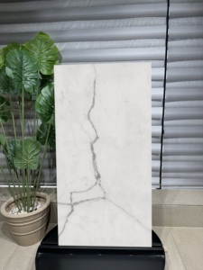 Export Quality Bianche Statuarietto Ceramic Tile Polished Matt Finish Luxury Floor <b>Wall</b> <b>Covering</b> Available In Bulk Quantity - Product Image 3