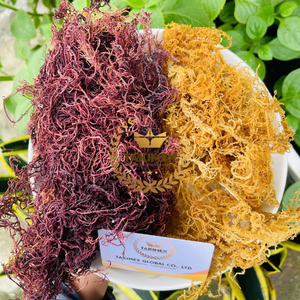 Vietnam Ninh Thuan 100% Organic High Quality Gold Sea <b>Moss</b>/ Irish <b>Moss</b> / Wildcrafted Sun <b>Dried</b> Seamoss Beverage Bag OEM Packing - Product Image 6