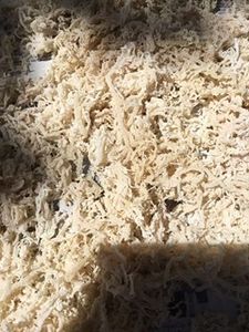 Fournisseur vietnamien d'algues cotonii pour les commandes en gros et les marchés étrangers - Product Image 5