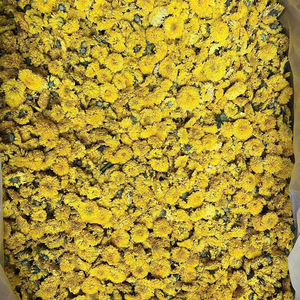 ชาดอกเบญจมาศเวียดนามแบบขายส่ง ดอกไม้แห้งทั้งดอก สำหรับใช้ในธุรกิจอาหารและเครื่องดื่ม ดอกตูมแห้งขายส่ง - Product Image 1