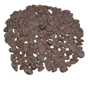 Cabochons de Larimar Thomsonite rose certifiés 100% naturels, tailles assorties, dos plat, pierres précieuses pour la fabrication de bijoux, vente en gros - Product Image 1