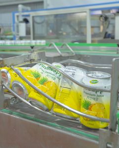 Alta calidad OEM ODM Etiqueta Privada 330ml puré de maracuyá jugo de frutas y verduras Wana fabricante de puré de bebidas - Product Image 5