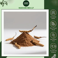 Extrait de Cordyceps en poudre de qualité alimentaire standardisée, complément à base de plantes, culture artificielle, emballage personnalisé pour l'immunité et l'énergie