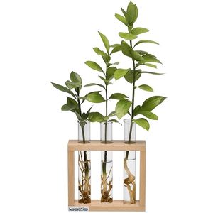 Modern Wooden Frame Glass Flower <b>Vase</b> Set with Hydroponic Feature <b>Clear</b> Cylinder Bud <b>Vase</b> Holder for Home Wedding Decor - Product Image 4