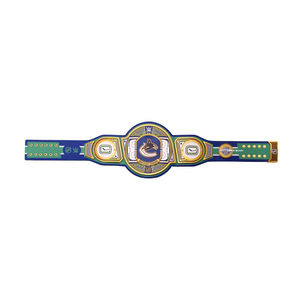 Ceinture de lutte de haute qualité, design personnalisé, finition premium, fournisseur en gros, ODM, collection de couleurs uniques 2026 - Product Image 3