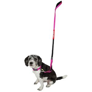 Guinzaglio e Collare per Cani Neo Indistruttibili Sportivi Ricamati, Spessi e Resistenti con Facile Controllo della Tensione per Compagni Canini Attivi - Product Image 5