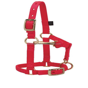 Harnais pour cheval en sangle de nylon avec clip réglable en alliage de zinc, style selle australienne, rembourré, rouge, pour l'équitation - Product Image 3