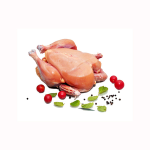 ไก่แช่แข็งฮาลาลทั้งตัว / ราคาตลาดโลกดีที่สุด / ผลิตภัณฑ์สัตว์ปีก - Product Image 2