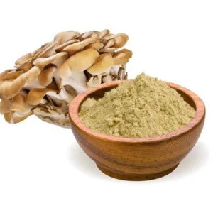 Polvo de Hongo Maitake de Alta Potencia, Orgánico, al por Mayor, Extracto de Superalimento en Polvo para Suplementos de Salud y Alimentos Funcionales - Product Image 4