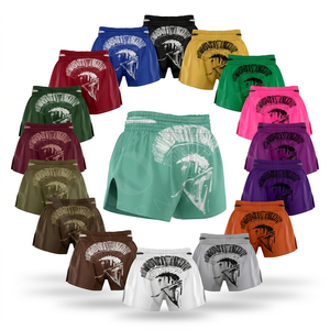 Shorts de Muay Thai et de Kickboxing en satin de polyester grande taille avec design par sublimation, taille haute élastique, confortables pour l'entraînement et le Jiu Jitsu - Product Image 1