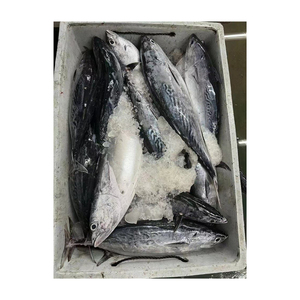 Poisson bonite congelé en gros, prix réduit, qualité supérieure, produits de la mer - Product Image 2