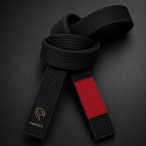 Ceintures de karaté et de BJJ FAWKES SPORTS unisexes de haute qualité à prix raisonnable, style personnalisé, fusion sans couture, best-seller, faible MOQ - Product Image 1