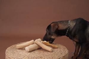 EXPAD HHuong Natural Wood Eco-Friendly Chew Toy for Dogs Small Size Durable <b>Bite</b> Resistant Teether Stick Original Flavor - Product Image 2