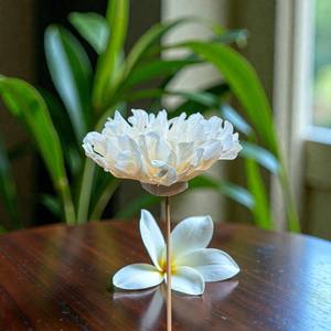 ดอกไม้ประดิษฐ์จากไม้โซลา รูปดอกเบญจมาศ ขนาด 10 ซม. พร้อมก้านไฟเบอร์จากต้นเซสบาเนีย สำหรับอโรมาเธอราพี ทำด้วยมือ - Product Image 2