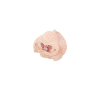 Frozen <b>chicken</b> tails for sale perfect for bulk orders and food processing - Product Image 1