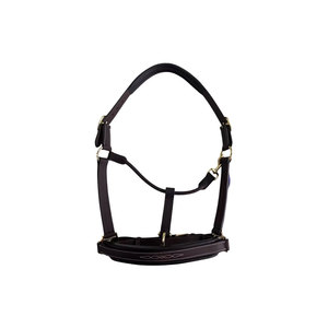 เส้นรอบวงม้าหนังด้วยฮาร์ดแวร์ทองเหลืองและเย็บตกแต่ง - Product Image 1