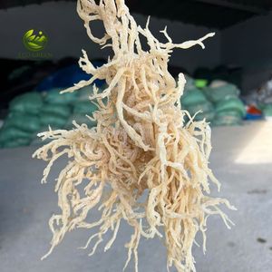Algas Marinas Secas con Alto Contenido Mineral para Alimentos, Bebidas, Elaboración de Gel, Musgo Marino Crudo para la Fabricación de Gel y Producción de Alimentos Nutritivos - Product Image 1