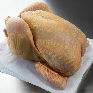 Pollo Entero Congelado de Primera Calidad al por Mayor para Grandes Pedidos, Ideal para Restaurantes y Hoteles - Product Image 1