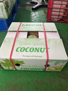 Vente en gros d'eau fraîche de noix de coco et d'agrumes du Vietnam pour les boissons d'été exportant de la qualité - Product Image 3