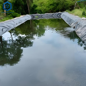 Geomembrana negra 1mm Hdpe Pond Liner Película de Geomembrana para lagunas de aguas residuales - Product Image 1