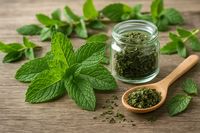 Polvo de Hoja de Tulsi Orgánico Premium 99% Puro, Secado al Aire Caliente, Grado Alimenticio, Extracto Herbal en Botella, Lata, Tambor, Alimento Saludable, Suministro a Granel