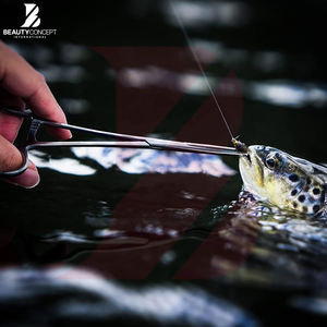 Nuevas Pinzas Hemostáticas Quirúrgicas de Acero Rectas con Bloqueo, Reutilizables, Instrumentos Quirúrgicos, Pinzas Hemostáticas Kelly - Product Image 6