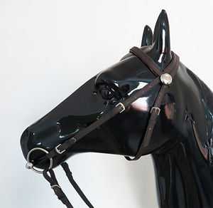 Bridon d'endurance pour cheval en Biothane de qualité supérieure avec rênes, ensemble en cuir synthétique imperméable pour l'équitation et les courses - Product Image 6