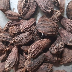 Cardamome noire naturelle de haute qualité, non transformée, sèche, pour assaisonnements et préparations alimentaires, directement de l'usine - Product Image 2