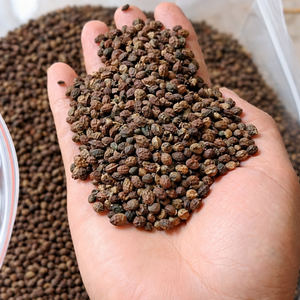 SEMILLAS DE PAPAYA SECAS / DEFENSA NATURAL / MARCA CLEAN LABEL / EARTH GROWN / MS. ALINA - Product Image 4