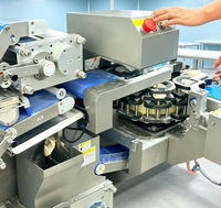 Machine à faire des raviolis pour les petites entreprises, application pour les snack-bars, machine à faire des raviolis