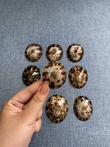 Venta al por mayor de conchas de Lapa para mujeres embarazadas que amamantan conchas de bebé hechas a mano al mejor precio-LOTO AZUL de Vietnam - Product Image 4