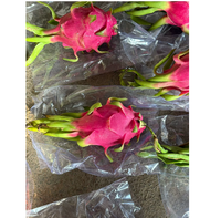 Premium Ocean Link Exim Grade Dragon Fruit Voedingsrijke Tropische Fruit voor Foodservice, Retail, Groothandel en Wereldwijde Exportmarkten