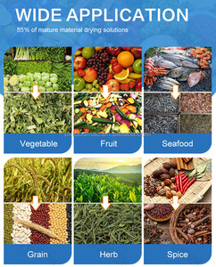 Baixin Usine Prix Légumes Fruits Séchoir Machine Industrielle Date Oignon Manioc Épice Ail Champignon Séchage Machine - Product Image 6
