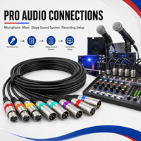 Câble Combo XLR Professionnel Ice Combo, Câble de Signal Powercon DMX512 pour Équipement d'Éclairage Scénique, Assemblage de Câbles Personnalisés OEM ODM