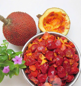 Purée de fruit de Gac biologique surgelée, pulpe de Gac avec graines, à vendre - Product Image 4
