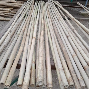 ผู้ผลิตไม้ไผ่ธรรมชาติจากเวียดนามสำหรับงานก่อสร้างและเฟอร์นิเจอร์ ขายส่งจำนวนมากจากโรงงาน รับส่งออก - Product Image 1