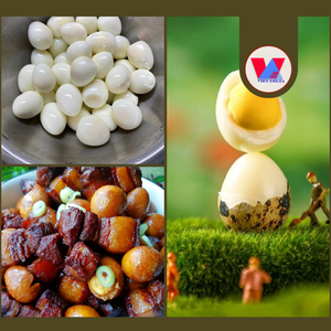 BEST SELLING Eco Safe 15oz Canned Quail <b>Eggs</b> in Brine Cooked Peeled Quail <b>Egg</b> Fast Prepare for Hotpot Ramen Soup Catering Menu - Product Image 3
