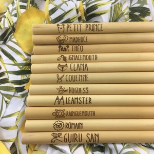 Pailles en bambou réutilisables gravées avec logo personnalisé en gros du Vietnam/Pailles en bambou écologiques avec logo personnalisé du Vietnam - Product Image 5