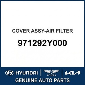 ix35 Nuevos Filtros de Aire 971292Y000 - Product Image 1