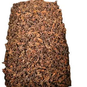 Vietnam Spices&Herbs supplier wholesales whole anise star anise with high quality and low price