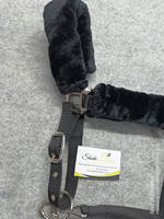 Fabricant direct Cheval équestre Nylon 1 pouce licou rembourrage en polaire douce et laisse de cheval 2mtr Halters de selle anglais d'Inde