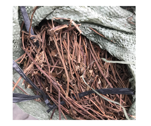 <b>Dried</b> <b>grass</b> jelly Premium Vietnam <b>Dried</b> <b>grass</b> jelly Hand Picked Mesona Chinensis Wholesale High Gel Quality - Product Image 3