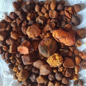 Poudre de calculs biliaires de bœuf de haute qualité pour l'alimentation des bovins, soluble dans l'eau, emballage en vrac, durée de conservation de 3 ans et marque personnalisée - Product Image 3