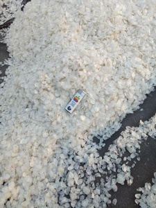 ลดราคาพิเศษ 2026 เกล็ดปลาเวียดนาม คุณภาพพรีเมียมสำหรับตลาดส่งออก ราคาถูกจากเวียดนาม - Product Image 2