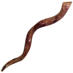 1. Shofar naturel en corne de bélier, trompette artisanale traditionnelle, instrument pour les cérémonies religieuses juives, le culte et les festivals - Product Image 2