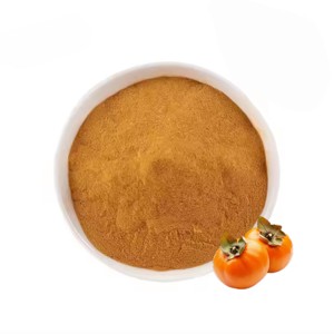 Extracto de caqui en polvo más vendido, 100% puro y natural, extracto de fruta de caqui, polvo de Diospyros Kaki premium de la India - Product Image 4