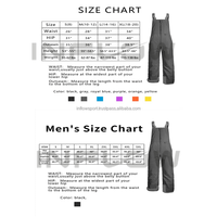 Pantalon de ski pour adulte grande taille, imprimé, imperméable, 100% polyester Polartec-Tex, double salopette de ski